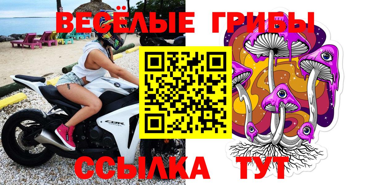 Галлюциногенные грибы Psilocybine cubensis  Йошкар-Ола 